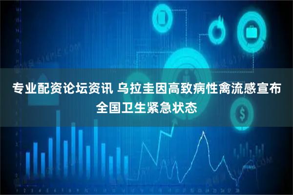 专业配资论坛资讯 乌拉圭因高致病性禽流感宣布全国卫生紧急状态